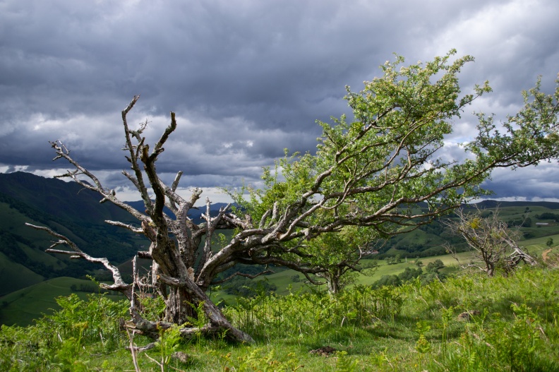 20140522-09.jpg